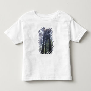 Camiseta Infantil NA, EUA, Califórnia. Costa Del Norte State