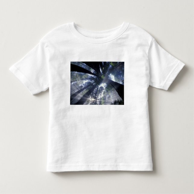 Camiseta Infantil NA, EUA, Califórnia, Del Norte Redwood State (Frente)