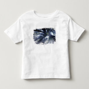 Camiseta Infantil NA, EUA, Califórnia, Del Norte Redwoods State