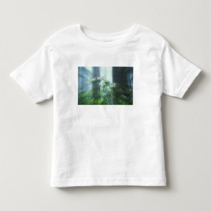 Camiseta Infantil NA, EUA, Califórnia, Del Norte Redwoods State