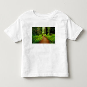 Camiseta Infantil NA, EUA, Califórnia, Jedediah Smith Redwoods