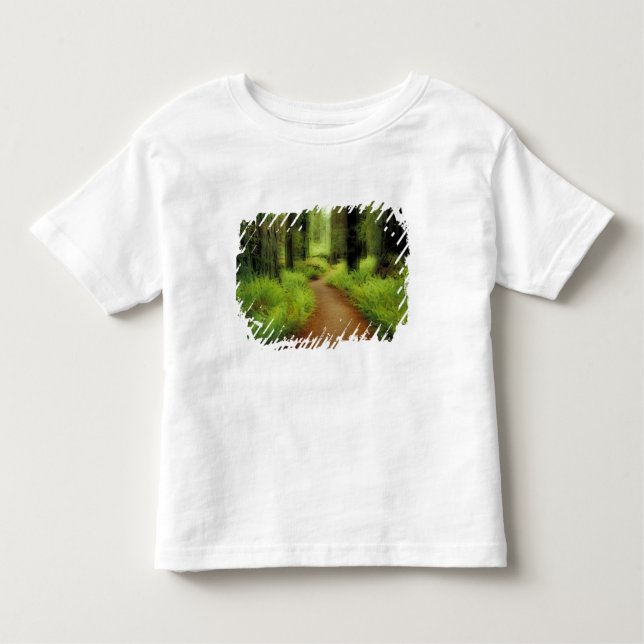 Camiseta Infantil NA, EUA, Califórnia, Jedediah Smith Redwoods (Frente)