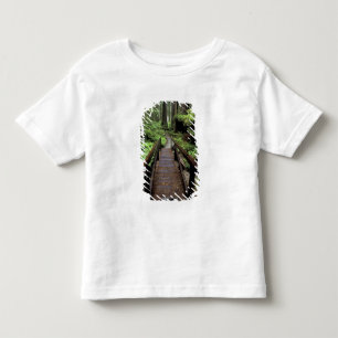 Camiseta Infantil NA, EUA, Califórnia, Jedidiah Smith Redwoods