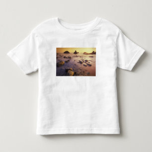 Camiseta Infantil NA, EUA, Califórnia, Norte da Califórnia,