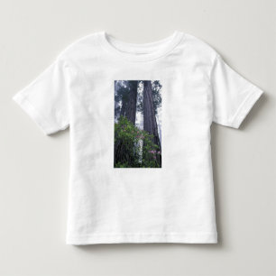 Camiseta Infantil NA, EUA, Califórnia. Parque Estadual da Costa Del