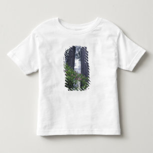 Camiseta Infantil NA, EUA, Califórnia. Parque Estadual da Costa Del