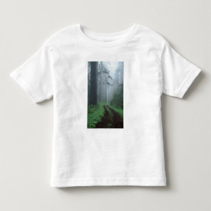 Camiseta Infantil NA, EUA, Califórnia. Parque Estadual da Costa Del