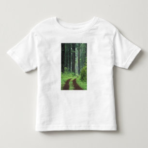 Camiseta Infantil NA, EUA, Califórnia. Parque Estadual da Costa Nor