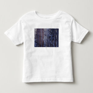 Camiseta Infantil NA, EUA, Califórnia. Parque Nacional Sequoia.2