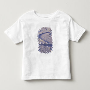Camiseta Infantil NA, EUA, Califórnia. Vale da Morte Nacional