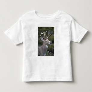 Camiseta Infantil NA, EUA, Estado de Washington, Veado-de-cauda-bran