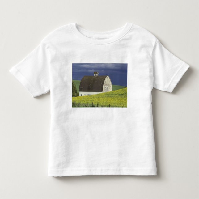 Camiseta Infantil NA, EUA, Idaho, ao sul de Genesse, campo de Canola (Frente)