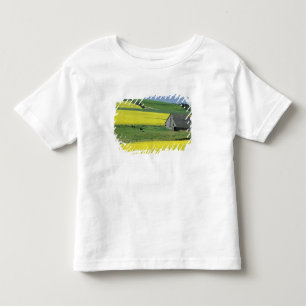 Camiseta Infantil NA, EUA, Idaho, perto de Potlatch, Canola e velho