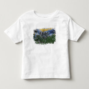 Camiseta Infantil NA, EUA, leste de Washington, Caminhão antigo com