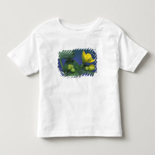 Camiseta Infantil NA, EUA, Michigan, Rochester Hills. Pântano