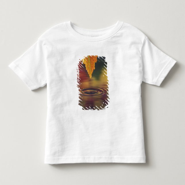 Camiseta Infantil NA, EUA, Noroeste Pacífico (Frente)