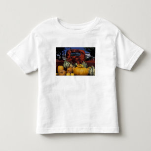 Camiseta Infantil NA, EUA, Novo México, Taos. Stand Chile.