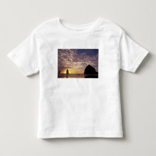 Camiseta Infantil NA, EUA, Oregon, Costa de Oregon, Canon Beach com