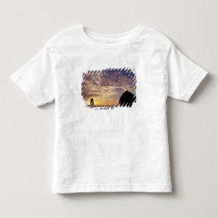 Camiseta Infantil NA, EUA, Oregon, Costa de Oregon, Canon Beach com