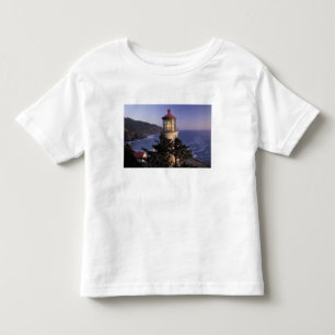 Camiseta Infantil NA, EUA, Oregon, Farol Heceta Head,