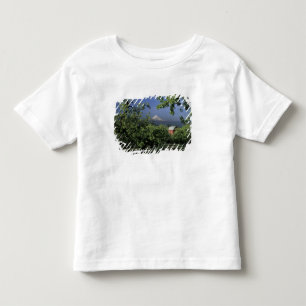 Camiseta Infantil NA, EUA, Oregon, perto de Hood River Mt. Hood com