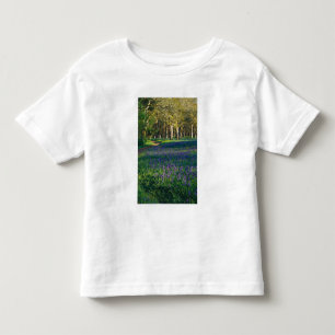 Camiseta Infantil NA, EUA, Oregon, Salem. Campo de camas e 3