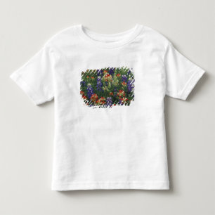 Camiseta Infantil NA, EUA, Texas, perto de Marble Falls, Pincel