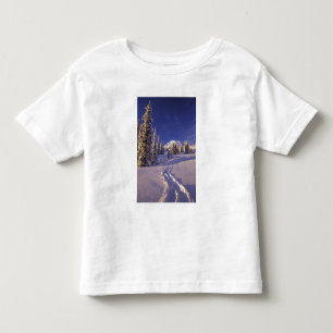 Camiseta Infantil NA, EUA, Washington, Mt. Rainier NP, Neve Profunda