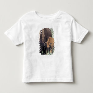 Camiseta Infantil NA, EUA, Wyoming, Parque Nacional de Yellowstone.