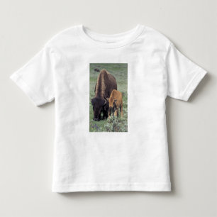 Camiseta Infantil NA, EUA, Wyoming, Parque Nacional de Yellowstone.