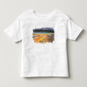 Camiseta Infantil NA, EUA, Wyoming, Yellowstone NP, Grand
