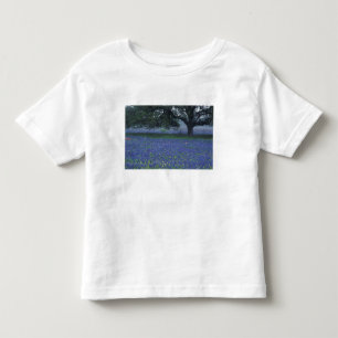 Camiseta Infantil NA, Texas, Devine, Carvalho e boninas azuis