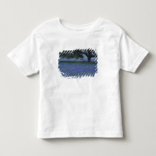 Camiseta Infantil NA, Texas, Devine, Carvalho e bonnets azuis