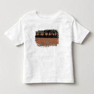Camiseta Infantil NA, Texas, Texas Hill Country, Barragem Buchan,