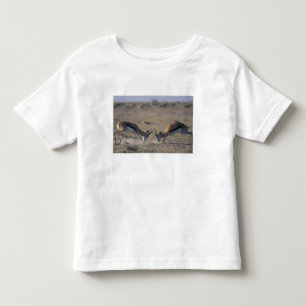 Camiseta Infantil Namíbia, Parque Nacional Etosha, Dois machos