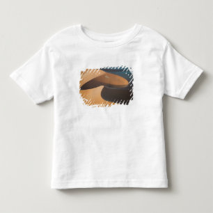 Camiseta Infantil Namíbia, Soussevlei, Excelente Red Sand Dunes,