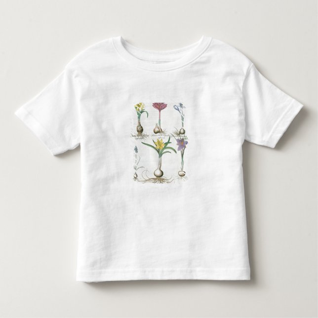 Camiseta Infantil Narciso, açafrões e jacinto: autum 1.Narcissus (Frente)