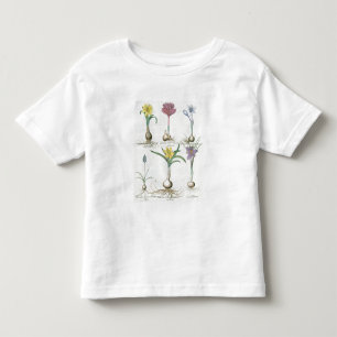 Camiseta Infantil Narciso, açafrões e jacinto: autum 1.Narcissus