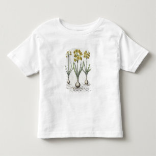 Camiseta Infantil Narciso de Tazetta, 'do Hortus o Eystettensis