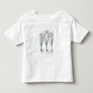 Camiseta Infantil Narciso: purpureus do medio do maximus