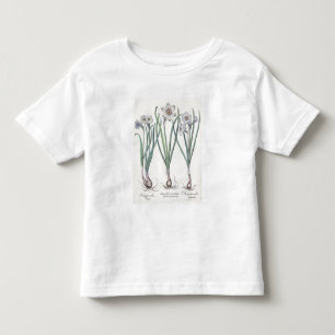 Camiseta Infantil Narciso: purpureus do medio do maximus