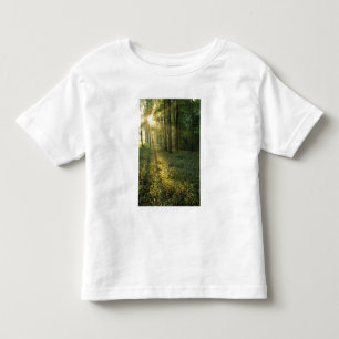 Camiseta Infantil Nascer do sol através da floresta de carvalho e n