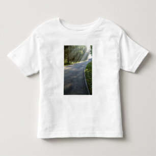Camiseta Infantil Nascer do sol através da névoa ao longo do Rio Gre