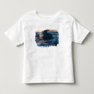 Camiseta Infantil Nascer do sol e formações de iceberg