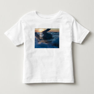 Camiseta Infantil Nascer do sol e formações de iceberg