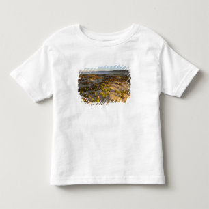 Camiseta Infantil Nascer do sol ilumina as dunas de areia e a figuei