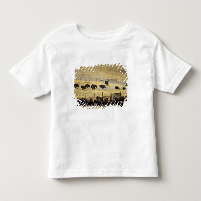 Camiseta Infantil National Bison Range Roundup em Montana (Frente)