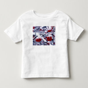 Camiseta Infantil Neve em Bagas de Freixo de Montanha Europeu, Utah.