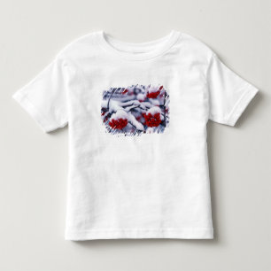 Camiseta Infantil Neve em Frutas de Cinza Montanhesa Europeia, Utah.