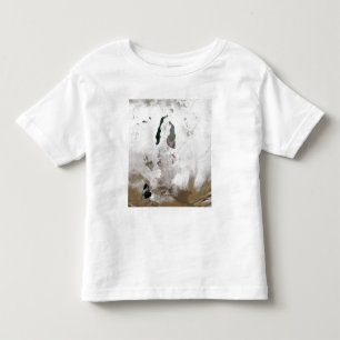 Camiseta Infantil Neve em torno do mar de Aral